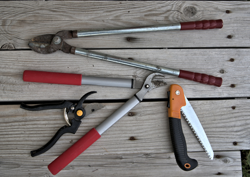 Gardening: a variety of tools used to prune and maintain shrubbery and trees.